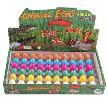DinoSplash | Surprise in the Water - Dino Eggs that Hatch in Water for Children